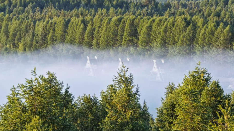 新華鮮報(bào) | 春已至！“植”綠山河