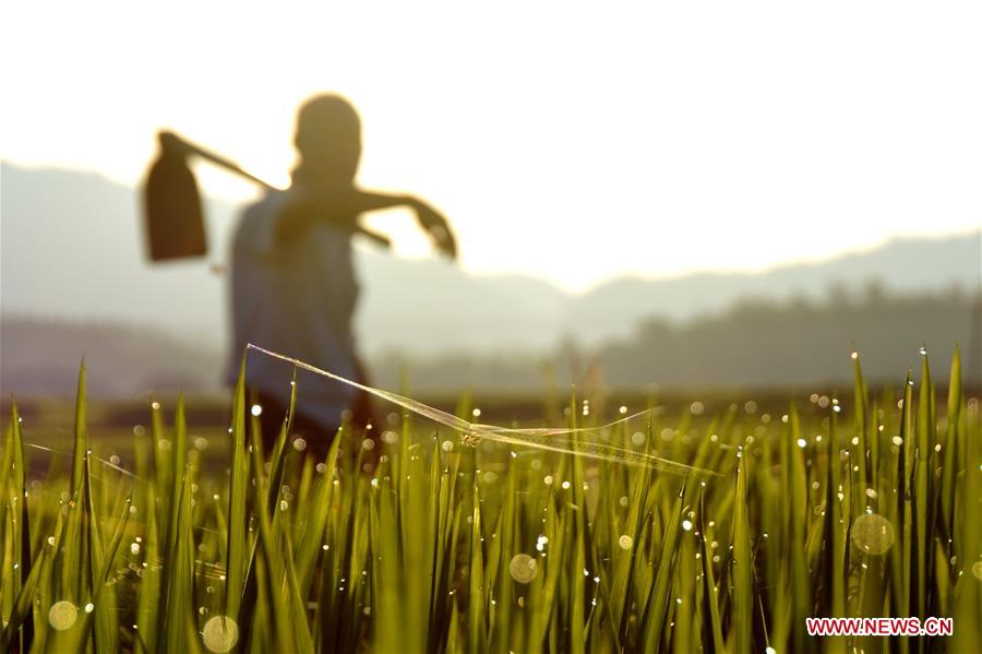 XINHUA-PICTURES OF THE YEAR 2017-CHINA