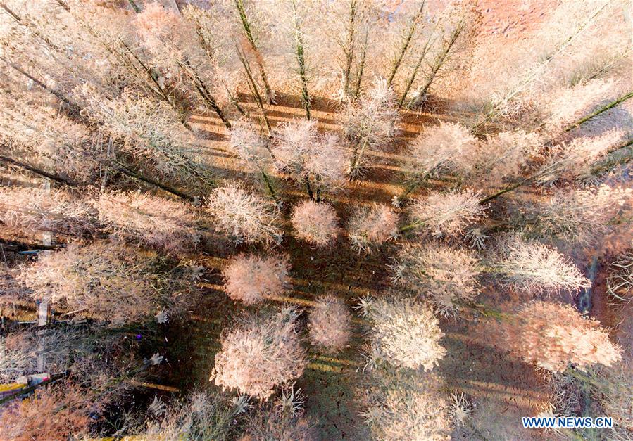 XINHUA PHOTO WEEKLY CHOICES