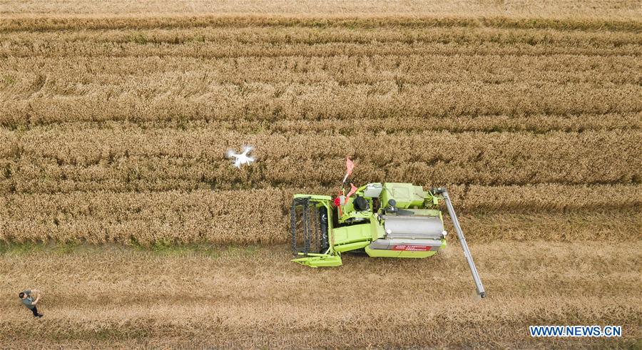 CHINA-JIANGSU-AGRICULTURE-TECHNOLOGY-PILOT PROGRAM (CN)