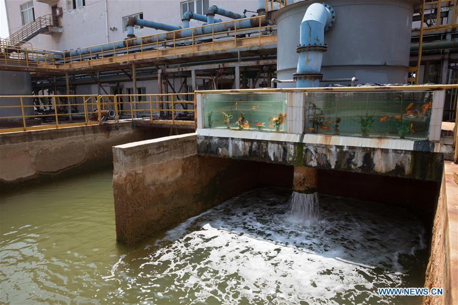 CHINA-ANHUI-TONGLING-GREEN DEVELOPMENT (CN)