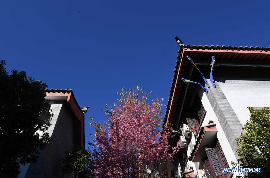 CHINA-YUNNAN-CHUXIONG-YI ETHNIC GROUP-ANCIENT TOWN (CN)