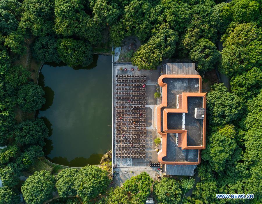 CHINA-FUJIAN-YONGCHUN-RURAL SCENERIES (CN)