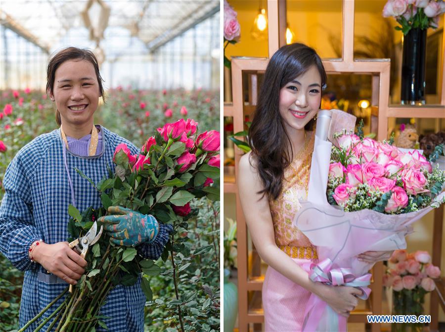 CHINA-YUNNAN-THAILAND-BANGKOK-FLOWER TRADE