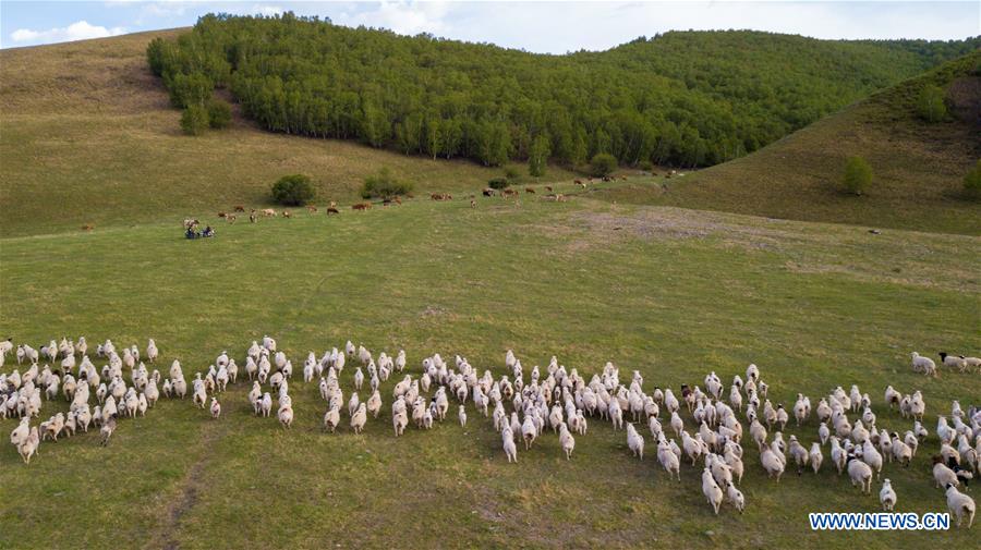 CHINA-INNER MOGOLIA-CHIFENG-AR HORQIN GRASSLAND-LANDSCAPE (CN)
