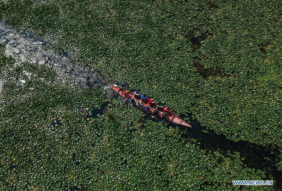 KASHMIR-SRINAGAR-DAILY LIFE