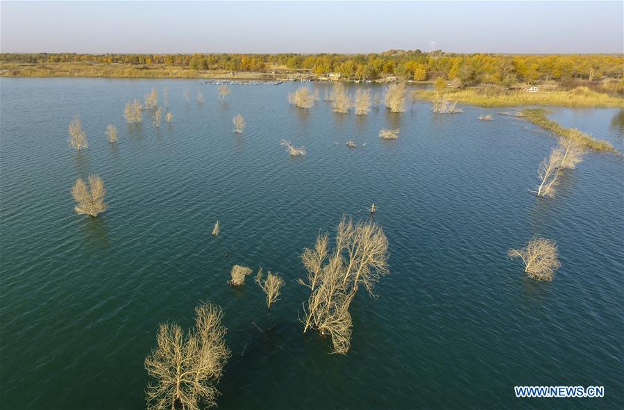 CHINA-XINJIANG-YULI-LOP LAKE-SCENERY (CN)