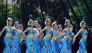 Honghe Cultural Art Festival closes in SW China