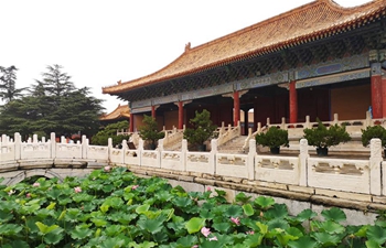 Summer scenery of Beijing