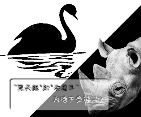 "黑天鵝"和"灰犀牛"為啥不受待見？