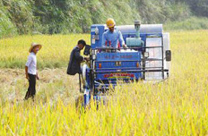 農(nóng)村改革:24個(gè)試驗(yàn)區(qū)允許政策和體制突破