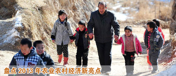 盤點(diǎn)2013年農(nóng)業(yè)農(nóng)村經(jīng)濟(jì)新亮點(diǎn)