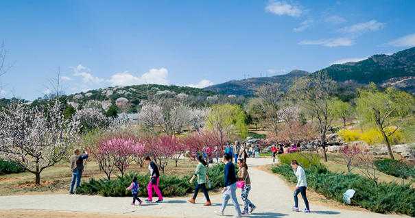 美到無法呼吸！&ldquo;西山晴雪&rdquo;攝影大賽來了