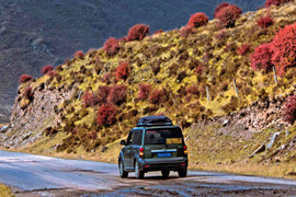 天微涼葉漸黃，最美風(fēng)景是家鄉(xiāng)