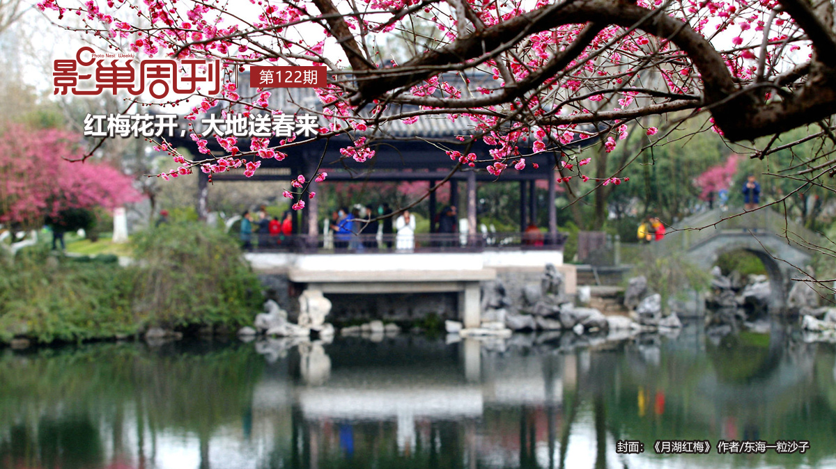 【影巢周刊】紅梅花開(kāi)，大地送春來(lái)