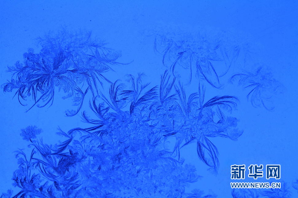 忽如一夜寒冬來，千家萬戶窗花開