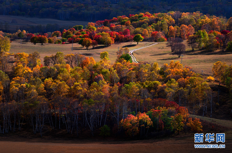 《烏蘭布統(tǒng)草原的秋天》