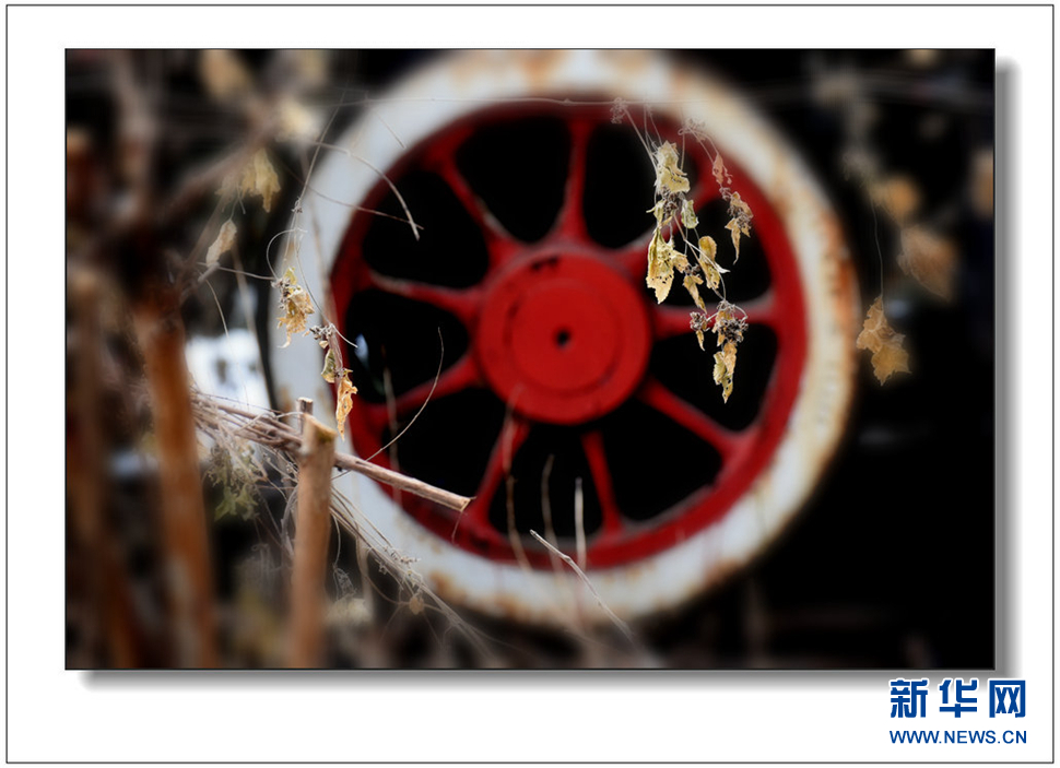 《遺世流年抹滄?！?>	</a></div>
</div>
<div   id=