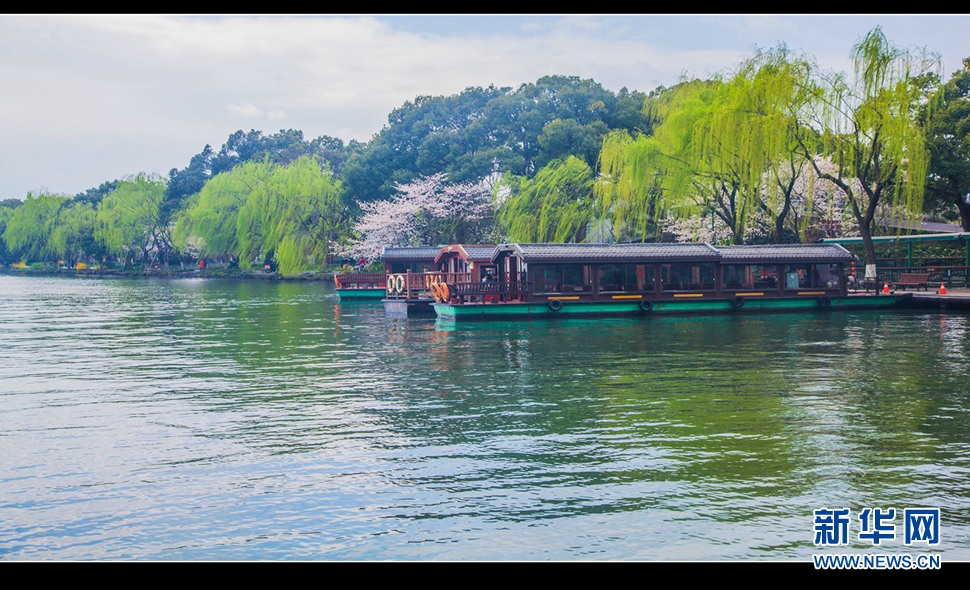 聽風(fēng)西湖柳，聞香龍井茶
