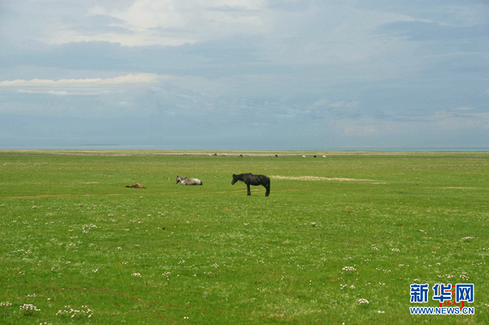 高原放歌之那山、那寺、那朵云