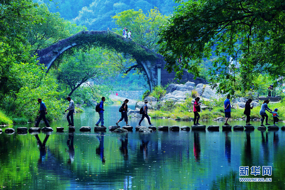 美呆了，中村