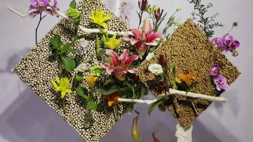 如此動(dòng)人，和百合來(lái)場(chǎng)約會(huì)吧！