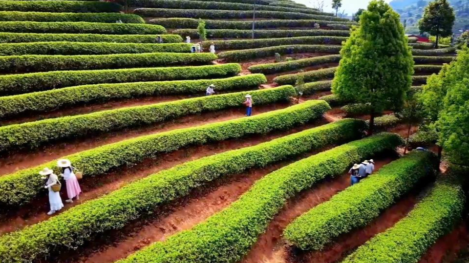 新華視點丨春日農事新圖景 創(chuàng)新融合促振興