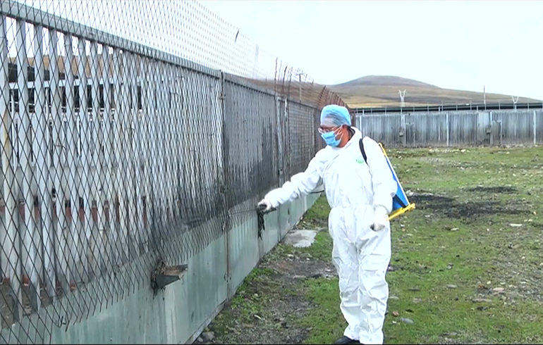 致敬偉大改革｜對話40年，講述身邊的健康故事（第二十一集）&mdash;&mdash;送瘟神