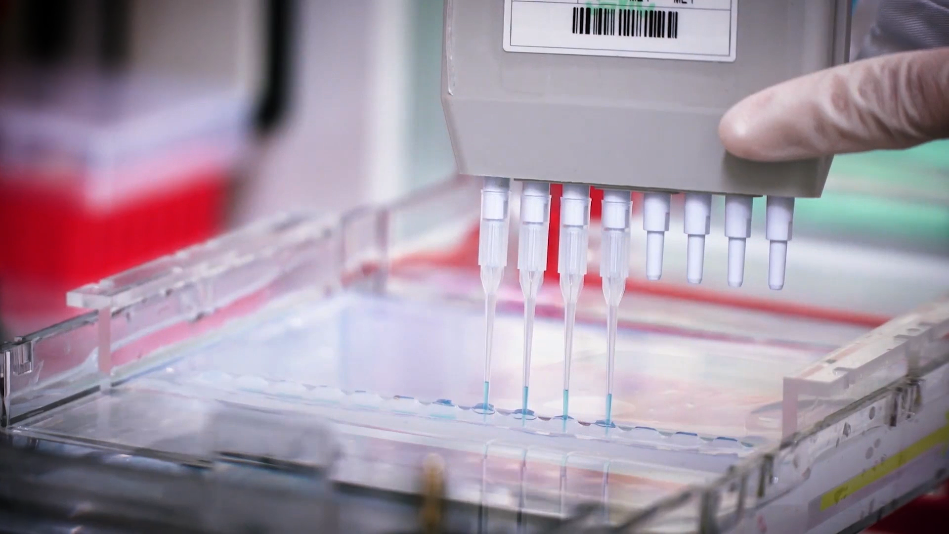 致敬偉大改革｜對(duì)話40年，講述身邊的健康故事32&mdash;打破醫(yī)學(xué)禁區(qū)，探尋生命奇跡