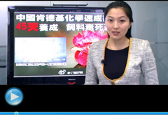 權(quán)威聲音：&ldquo;快時(shí)代&rdquo;究竟還有什么可以速成？