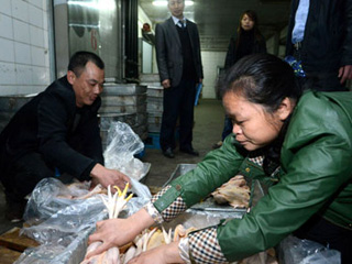 江西宰殺、冷凍積壓禽肉 緩解H7N9禽流感影響