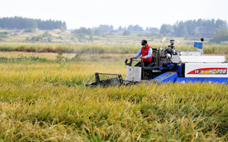 40年，小崗人的18個(gè)&ldquo;第一次&rdquo;