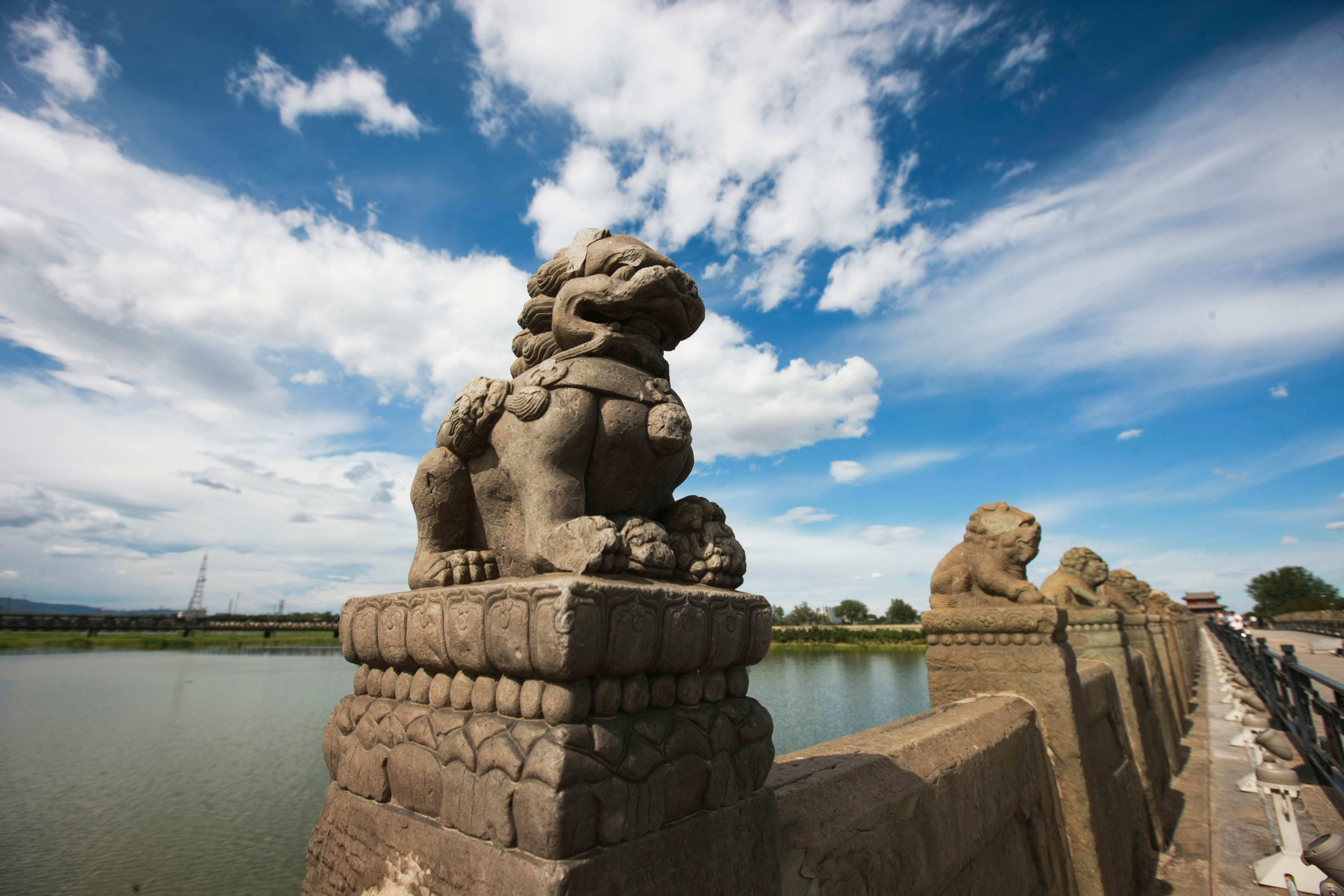 這些照片，來之不易