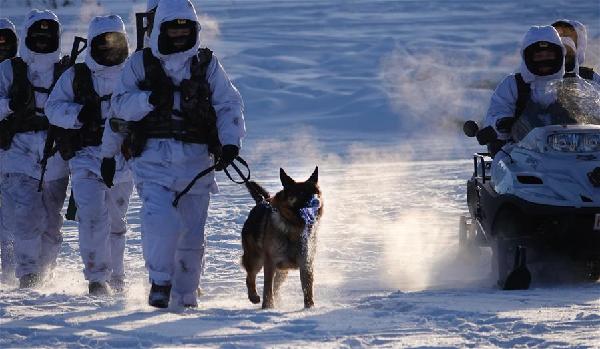 (軍事)(7)冷的邊關(guān)熱的血