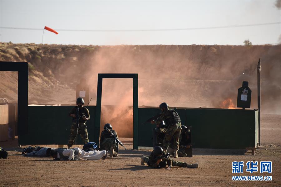 (國(guó)際·圖文互動(dòng))(3)“海洋衛(wèi)士-2020”中巴海上聯(lián)合演習(xí)閉幕