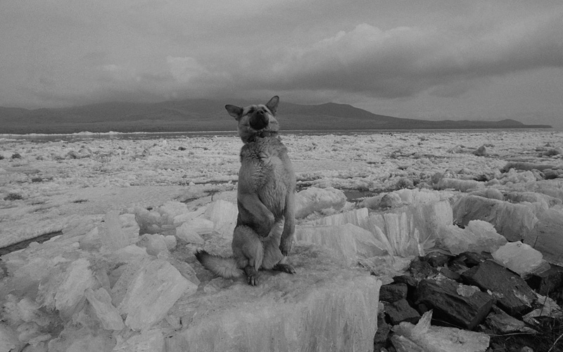 線云強作品:東方第一哨，最早迎接太陽的士兵