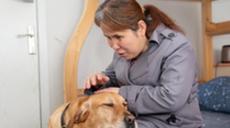 &ldquo;有你在身旁，真好&rdquo;