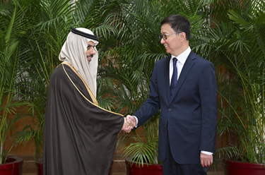 韓正集體會見阿拉伯、伊斯蘭國家外長聯(lián)合代表團(tuán)