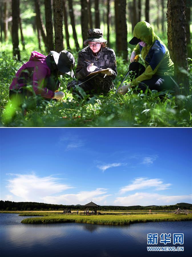 （十九大&middot;讀報(bào)告 話民生）（6）加快生態(tài)文明體制改革，建設(shè)美麗中國