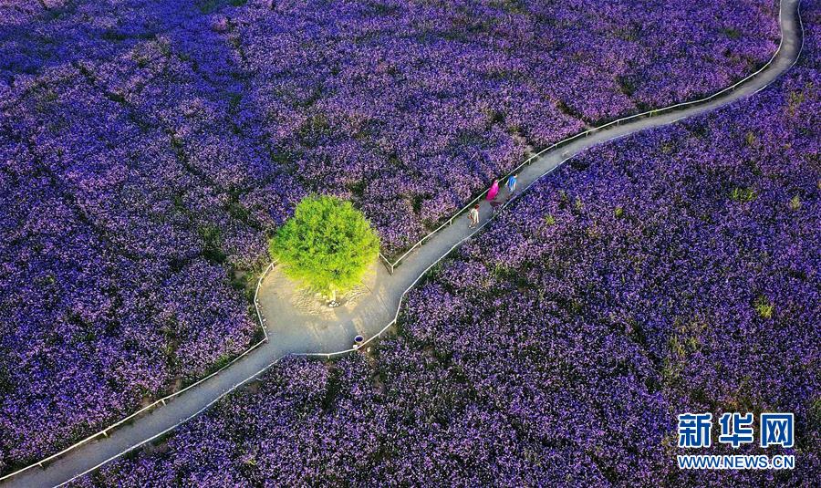 （十九大&middot;讀報告 話民生）（7）加快生態(tài)文明體制改革，建設美麗中國