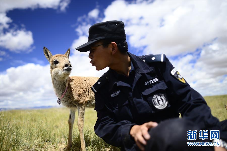 （十九大&middot;讀報告 話民生）（8）加快生態(tài)文明體制改革，建設美麗中國