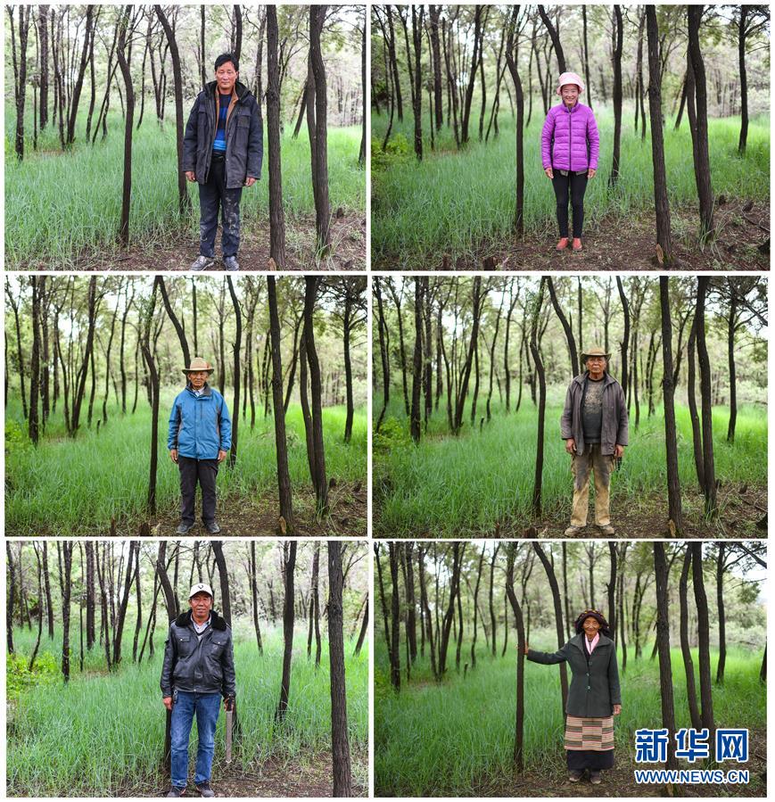 （十九大&middot;讀報告 話民生）（9）加快生態(tài)文明體制改革，建設(shè)美麗中國