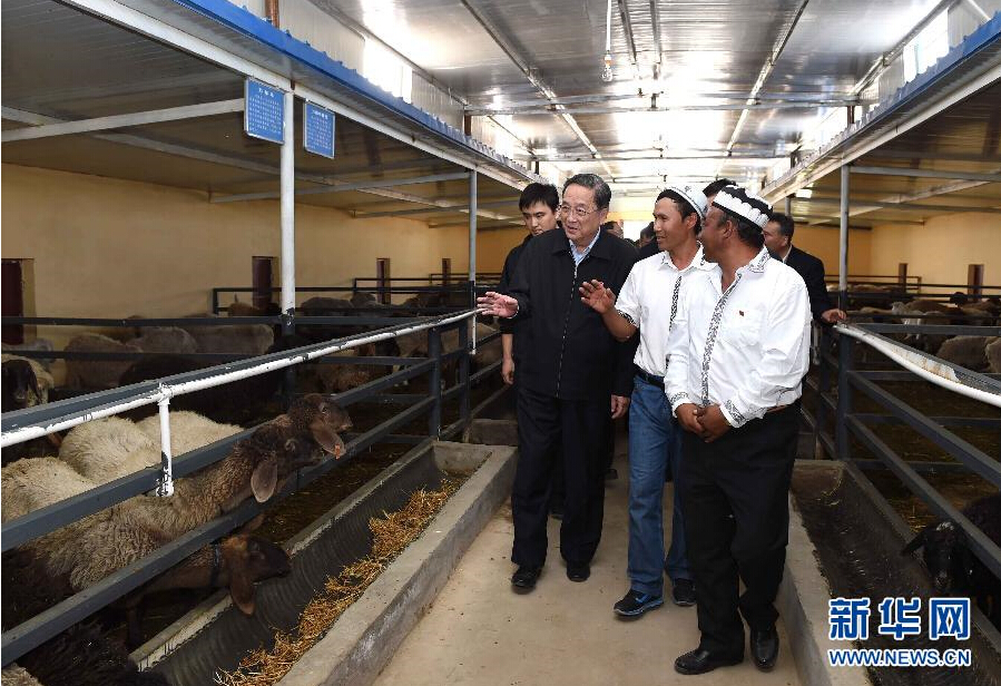 9月27日，中共中央政治局常委、全國(guó)政協(xié)主席、中央代表團(tuán)團(tuán)長(zhǎng)俞正聲率中央代表團(tuán)部分成員赴喀什地區(qū)莎車(chē)縣看望各族干部群眾。這是俞正聲在新疆生產(chǎn)建設(shè)兵團(tuán)第三師莎車(chē)農(nóng)場(chǎng)實(shí)地察看萬(wàn)只羊養(yǎng)殖基地。新華社記者 饒愛(ài)民 攝