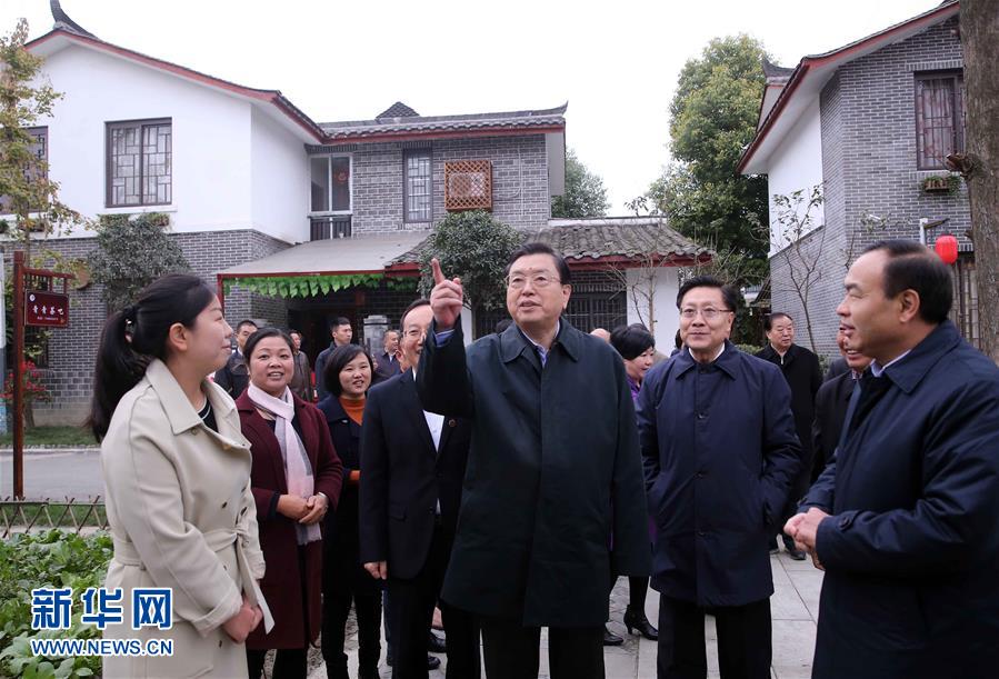 這是11月22日，張德江來到成都郫縣青杠樹村，了解村民委員會(huì)工作情況。 新華社記者 劉衛(wèi)兵 攝 