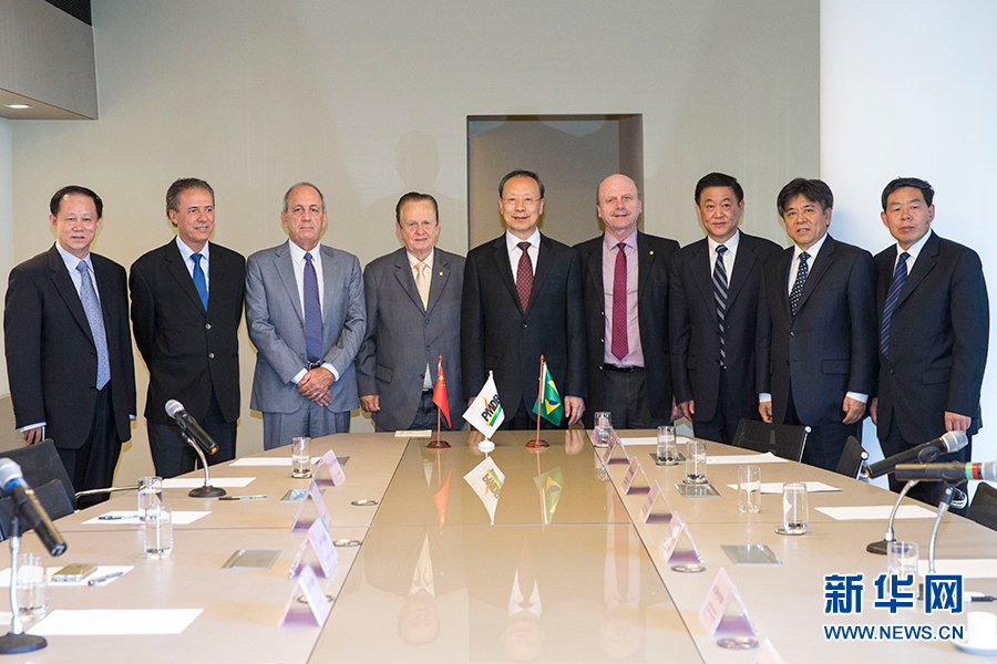 7月11日，在巴西首都巴西利亞，中共中央書記處書記、全國政協(xié)副主席杜青林（中）會見巴西民主運動黨總書記毛羅&middot;洛佩斯（左四）。新華社記者李明攝