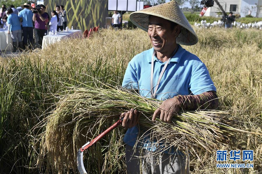 （新華全媒頭條&middot;圖文互動(dòng)）（2）歷史性飛躍的偉大實(shí)踐&mdash;&mdash;中國(guó)共產(chǎn)黨引領(lǐng)中國(guó)特色社會(huì)主義開(kāi)辟發(fā)展新境界述評(píng)