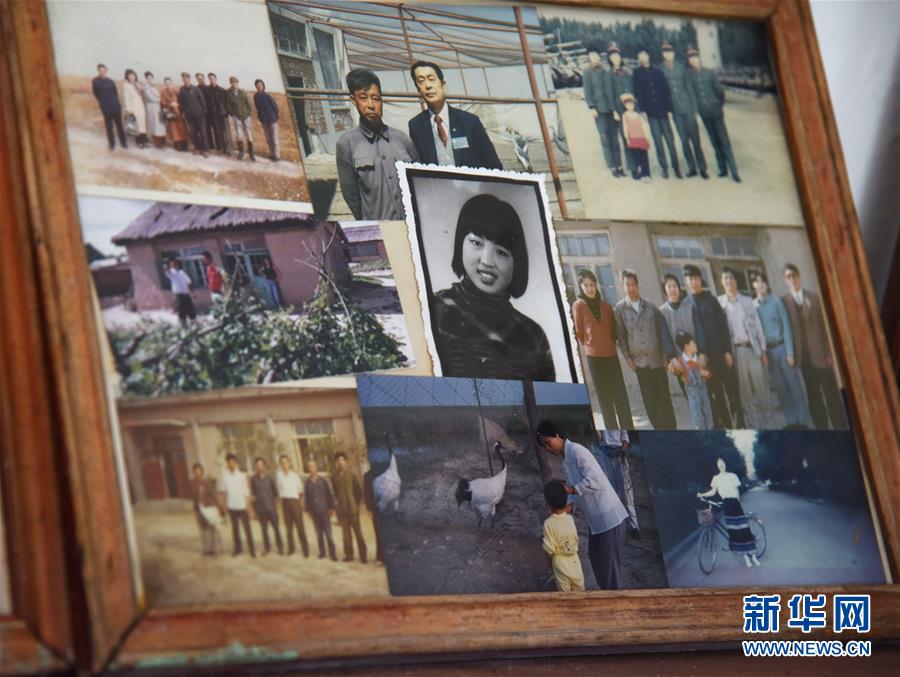 （圖文互動(dòng)&middot;新華全媒頭條）（7）一家人與一群鶴的生死相守