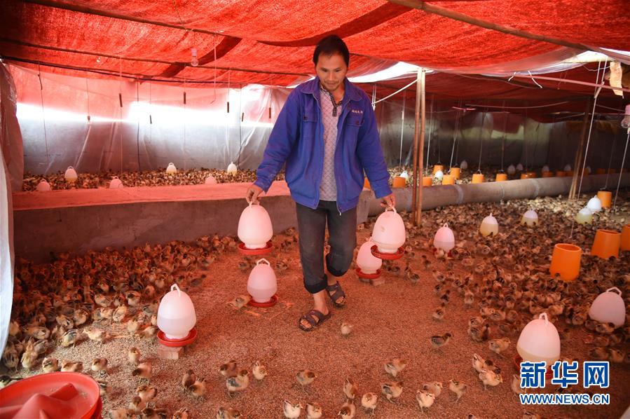 （新華全媒頭條&middot;圖文互動）（8）赤水：別了，貧困！