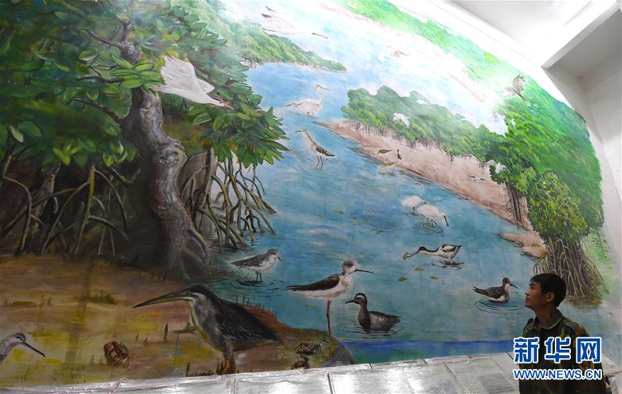 （圖文互動(dòng)）（5）十年樹(shù)木、紅樹(shù)成林&mdash;&mdash;&ldquo;海上森林&rdquo;回歸記