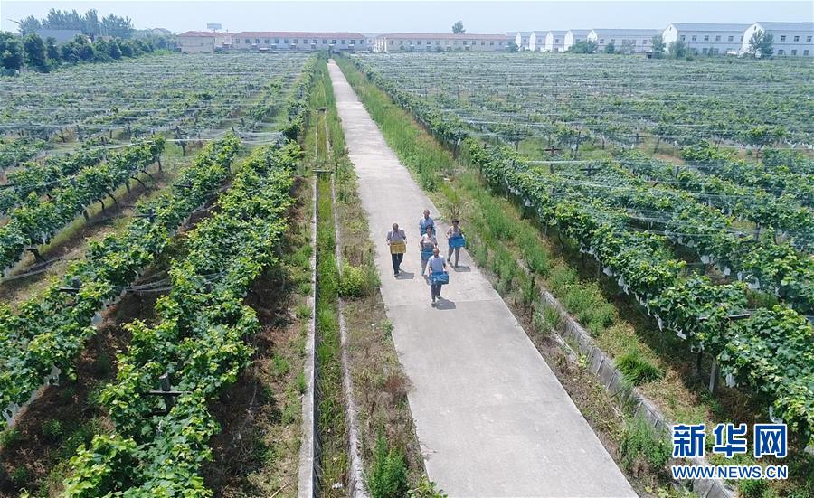 （新華全媒頭條&middot;紀(jì)念改革開放40年特稿&middot;圖文互動）（5）向著新航程揚帆奮進！&mdash;&mdash;從小崗精神看中國改革開放40年